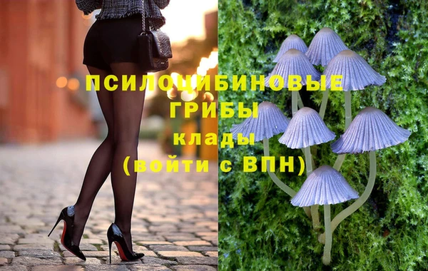 стафф Алзамай