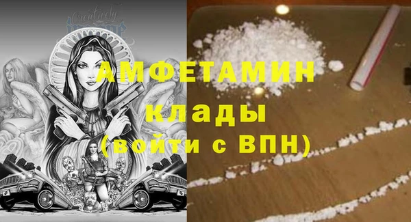 стафф Алзамай