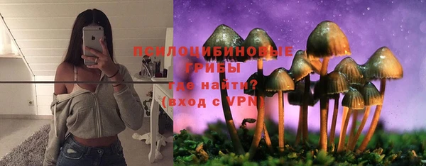 стафф Алзамай