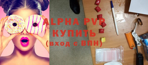 стафф Алзамай