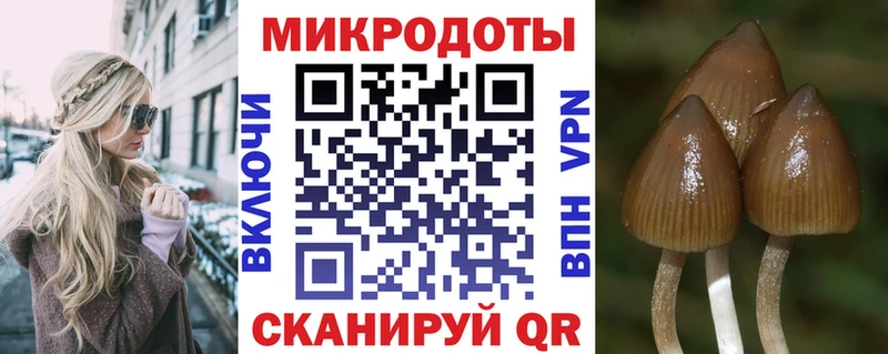 цены наркотик  Камбарка  Псилоцибиновые грибы Cubensis 